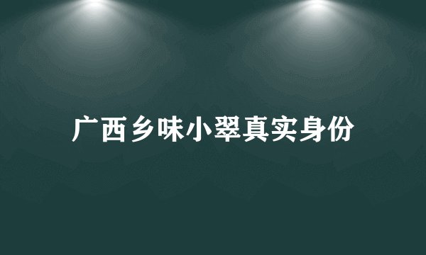 广西乡味小翠真实身份