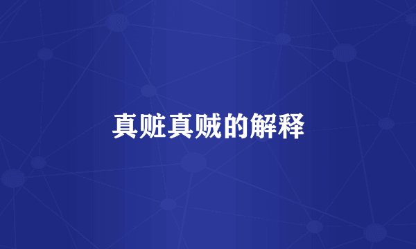 真赃真贼的解释