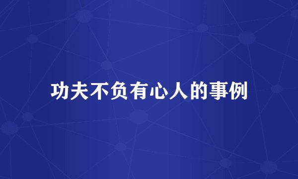 功夫不负有心人的事例