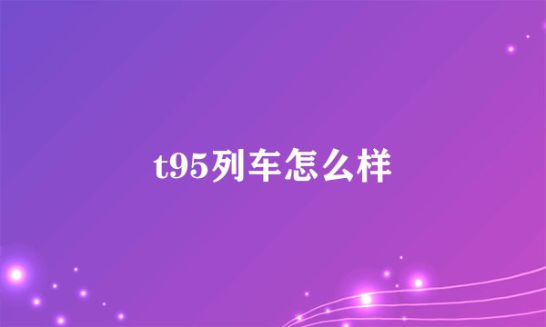 t95列车怎么样