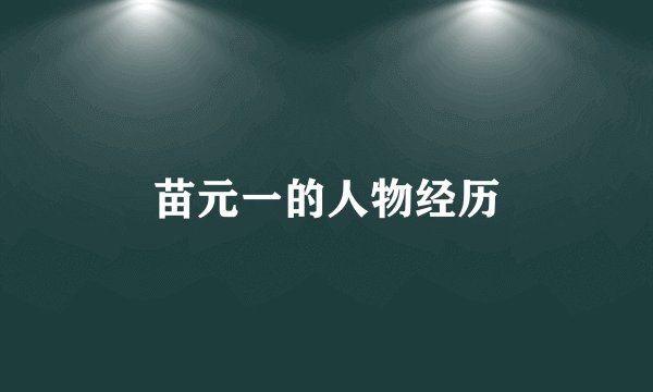 苗元一的人物经历