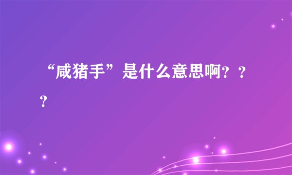 “咸猪手”是什么意思啊？？？