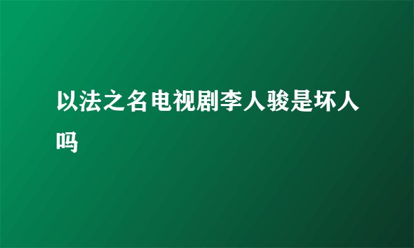 以法之名电视剧李人骏是坏人吗
