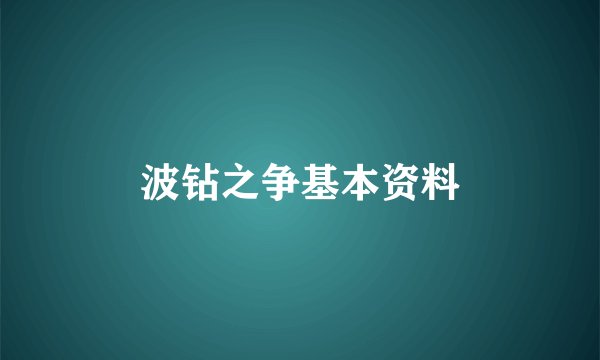 波钻之争基本资料