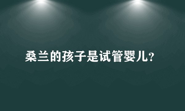 桑兰的孩子是试管婴儿?