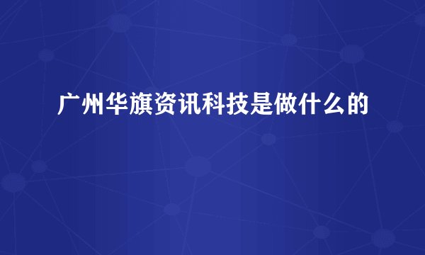 广州华旗资讯科技是做什么的