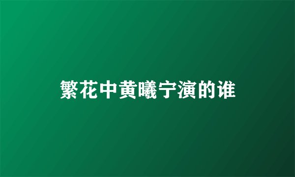 繁花中黄曦宁演的谁