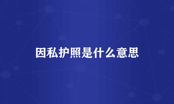 因私护照是什么意思