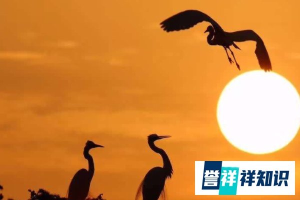 物以类聚，人以群分什么意思