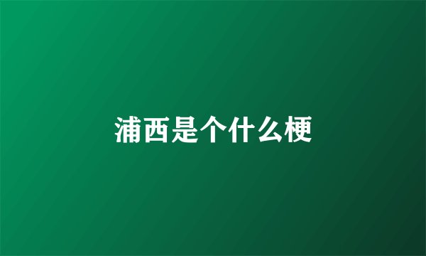 浦西是个什么梗