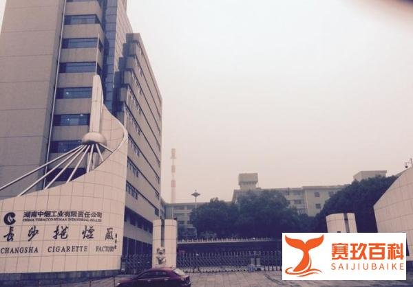 自称坏小孩，竟是“千亿女烟王”？敛财4亿多，只为支持情人事业？