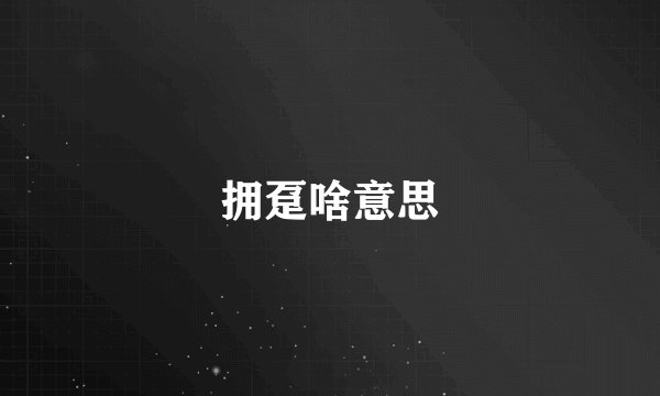 拥趸啥意思