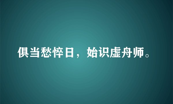 俱当愁悴日，始识虚舟师。