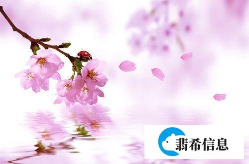 我还在等什么