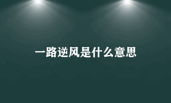 一路逆风是什么意思