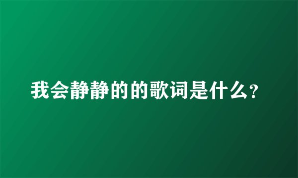 我会静静的的歌词是什么？