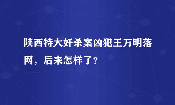 陕西特大奸杀案凶犯王万明落网，后来怎样了？