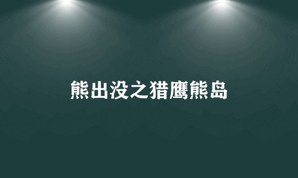 熊出没之猎鹰熊岛