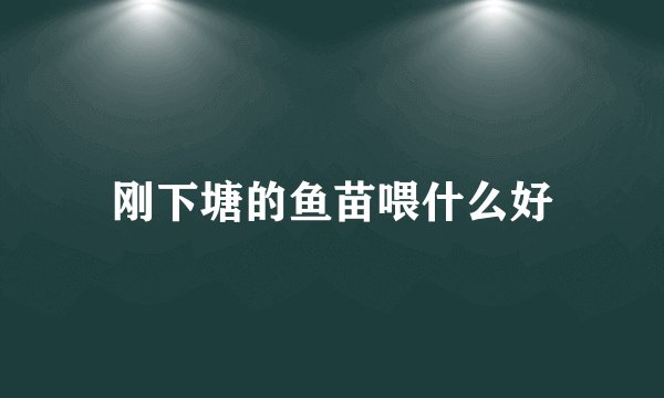 刚下塘的鱼苗喂什么好