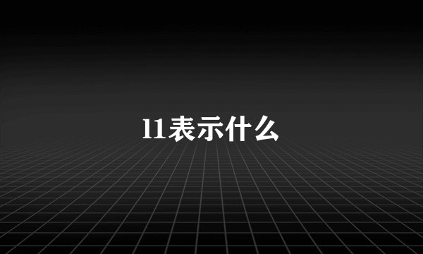 l1表示什么