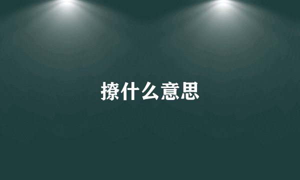 撩什么意思