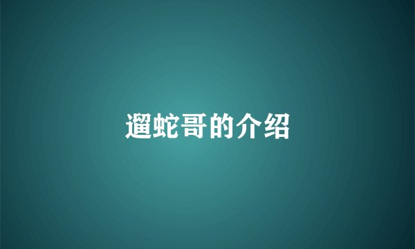 遛蛇哥的介绍