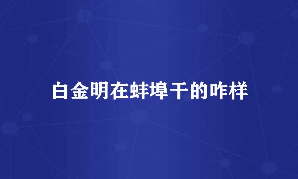 白金明在蚌埠干的咋样