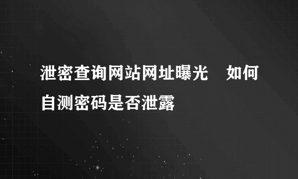 泄密查询网站网址曝光 如何自测密码是否泄露