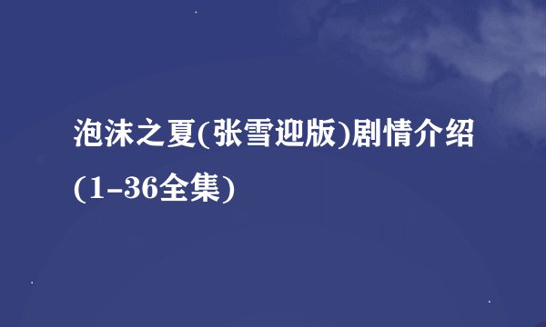 泡沫之夏(张雪迎版)剧情介绍(1-36全集)