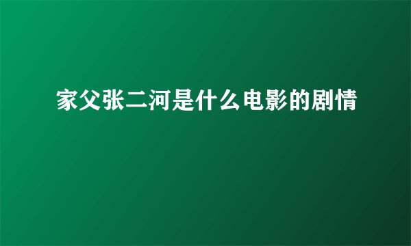家父张二河是什么电影的剧情