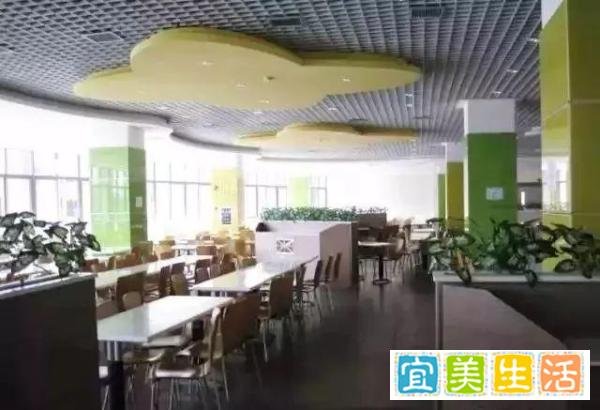 2020广州科技职业技术大学高职高考3+分数线、招生计划、全景图