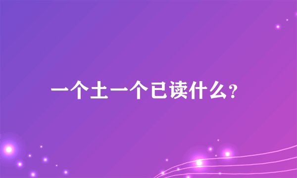 一个土一个已读什么？