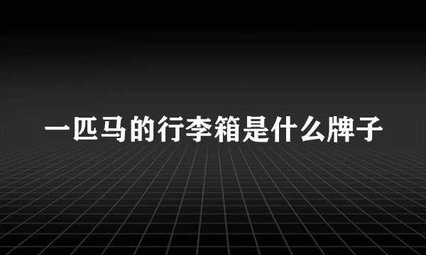 一匹马的行李箱是什么牌子