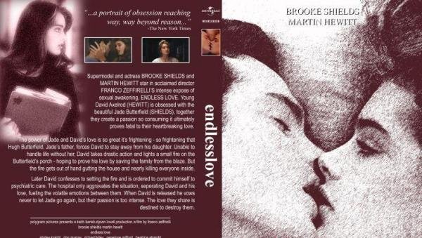 Endless Love 无尽的爱