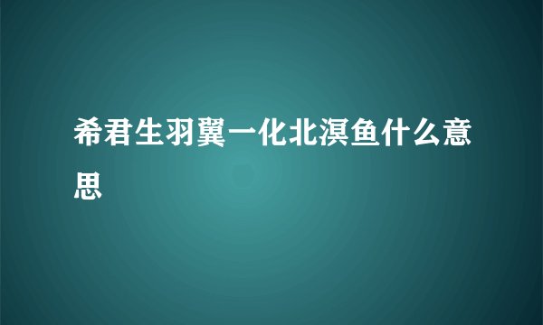 希君生羽翼一化北溟鱼什么意思