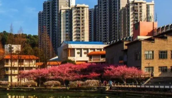 吉首大学临床医学录取分数线2023