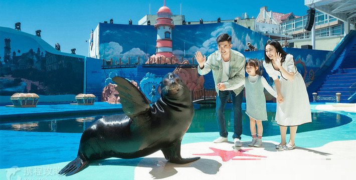 青岛旅游海洋公园门票