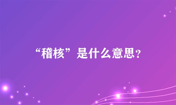 “稽核”是什么意思？