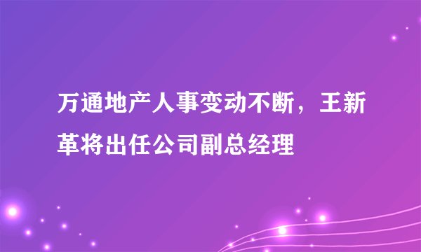 万通地产人事变动不断，王新革将出任公司副总经理