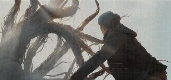 《沙海》和《盗墓笔记》里的九头蛇柏，到底是个啥妖怪？
