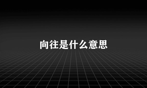 向往是什么意思