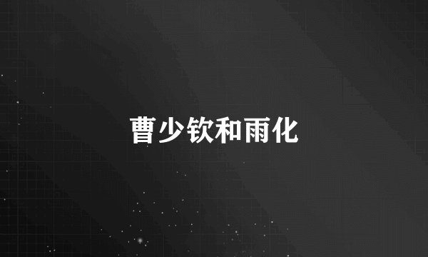 曹少钦和雨化