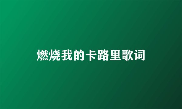 燃烧我的卡路里歌词
