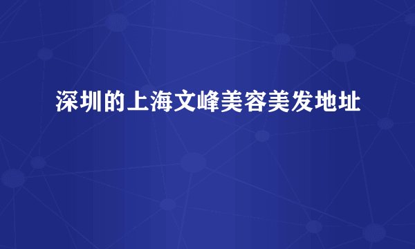深圳的上海文峰美容美发地址