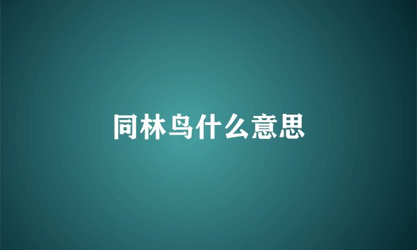 同林鸟什么意思