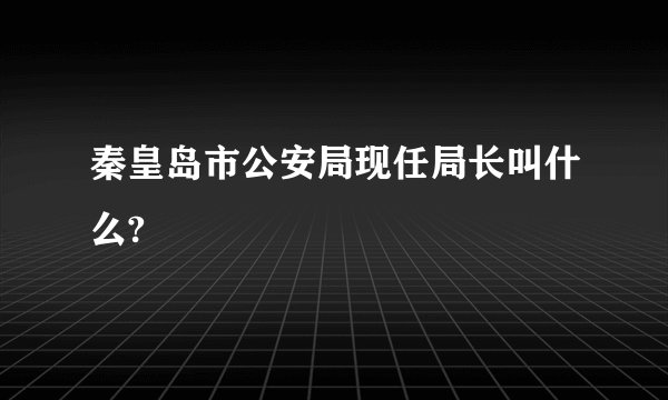 秦皇岛市公安局现任局长叫什么?