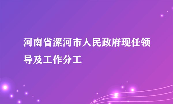 河南省漯河市人民政府现任领导及工作分工