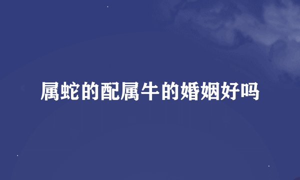 属蛇的配属牛的婚姻好吗