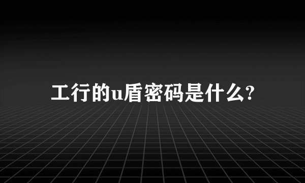 工行的u盾密码是什么?