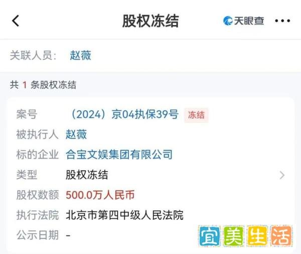 赵薇名下企业多个股权被法院冻结